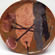 002 1981 PAVONE terracotta invetriata